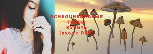 мдпв Балабаново