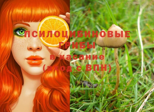 a pvp Рославль